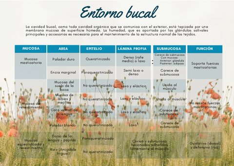 Entorno-Bucal-cuadro-resumen.pdf