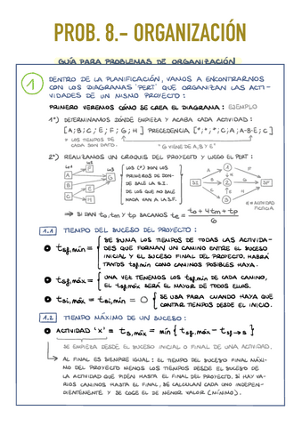 8.2.-Problemas-de-Organizacion.pdf