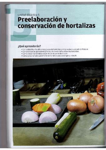 TEMA-5.1-PREELABORACION.pdf