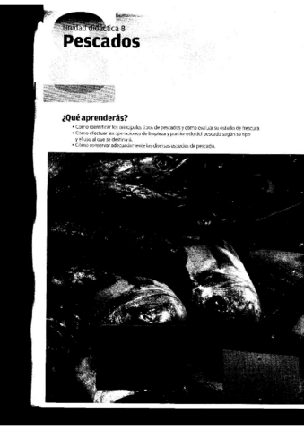 TEMA-8.1-PREELABORACION.pdf