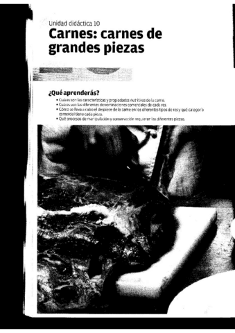 TEMA-10.1-PREELABORACION.pdf