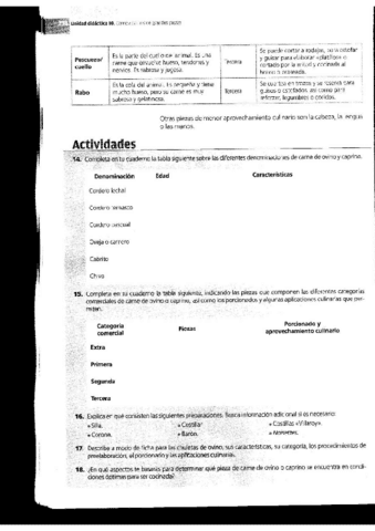 TEMA-10.2-PREELABORACION.pdf