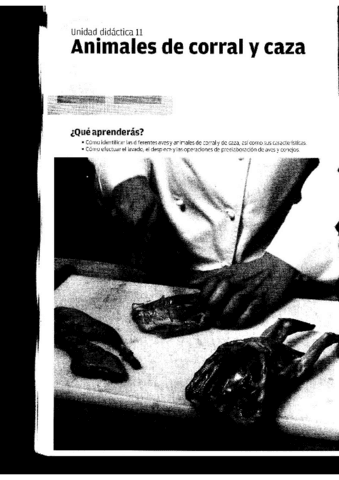 TEMA-11-PREELABORACION.pdf