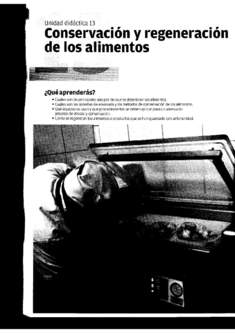 TEMA-13-PREELABORACION.pdf