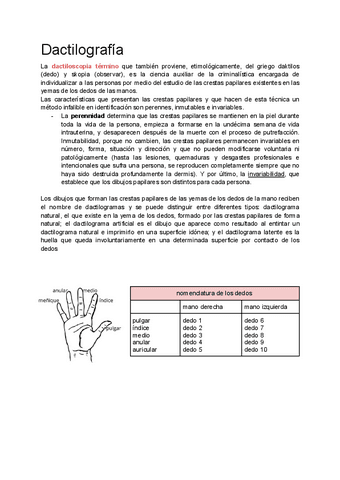T3.-Dactilografia.pdf