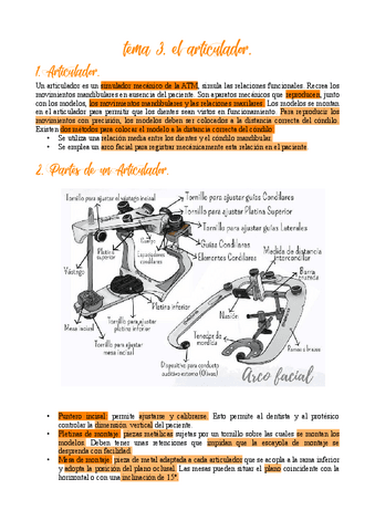 TEMA-3.-EL-ARTICULADOR.pdf