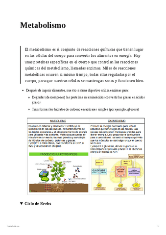 Metabolismo-y-Ciclo-de-Krebs.pdf