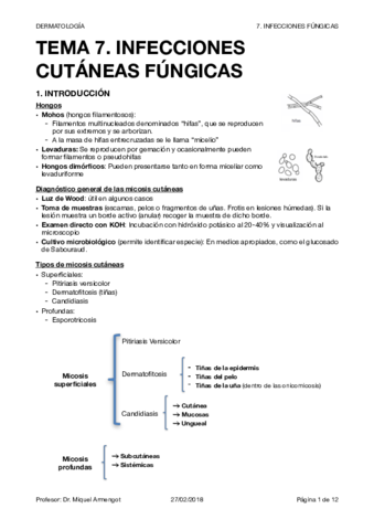 DERMA T7.pdf