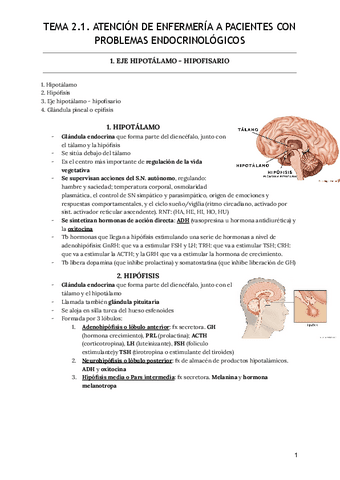 Tema-2.1-Atencion-de-enfermeria-a-pacientes-con-problemas-endocrinologicos.pdf