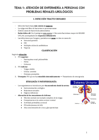 Tema-1-Atencion-de-enfermeria-a-personas-con-problemas-renales-urologicos.pdf