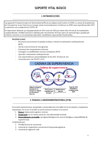 Soporte-Vital-Basico.pdf