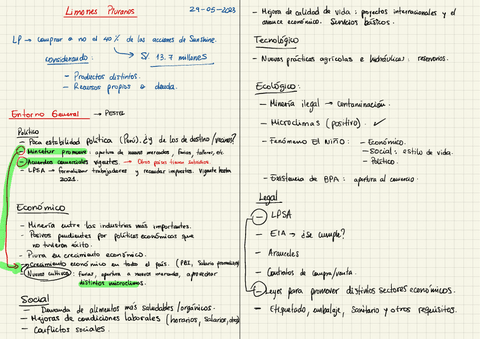 LIMIONES-PIURANOS-SOLUCION.pdf