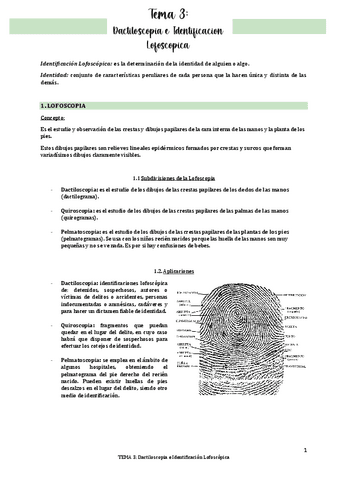 TEMA-3-Dactiloscopia-e-identificacion-lofoscopica.pdf