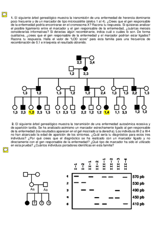 Genetica-Preguntas-Tipo.pdf