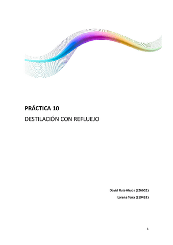 p10.pdf