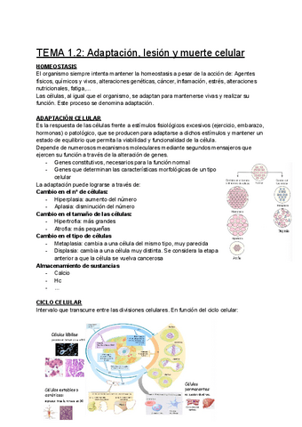 TEMA-1.2-Adaptacion-lesion-y-muerte-celular.pdf