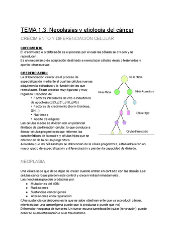 TEMA-1.3-Neoplasias-y-etiologia-del-cancer.pdf