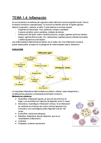 TEMA-1.4-Inflamacion.pdf