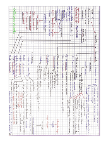 Esquemas-de-Orientacion-Accion-Tutorial-y-Participacion-Familiar-en-Contextos-Educativos.pdf