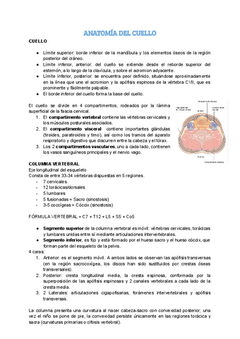ANATOMIA-DEL-CUELLO.pdf