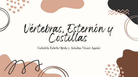 Vertebras-Costilla-Y-Esternon.pdf
