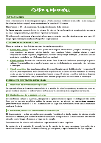 FISIO-MUSCULAR.pdf