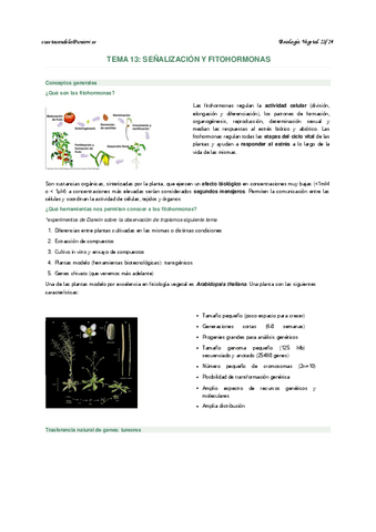 FisVeg-1314-y-15.pdf