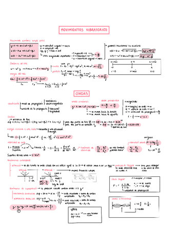resumen-PAU.pdf