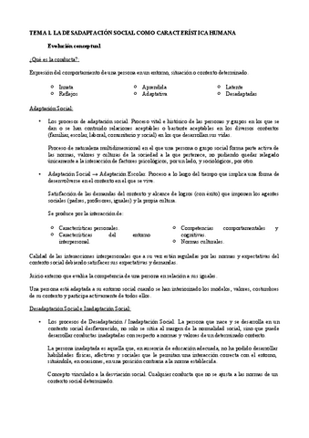 Temario-desadaptacion.pdf