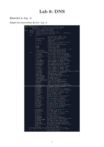 Lab-8.-DNS.pdf