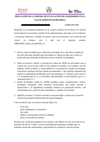 DESARROLLO-geronto.pdf