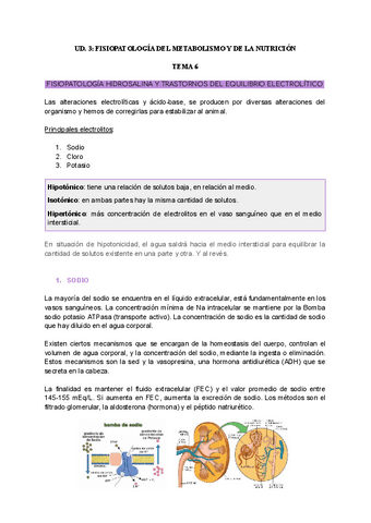 T.6.-FISIOPATOLOGIA-HIDROLASINA-Y-TRASTORNOS-DEL-EQUILIBRIO-ELECTROLITICO.pdf