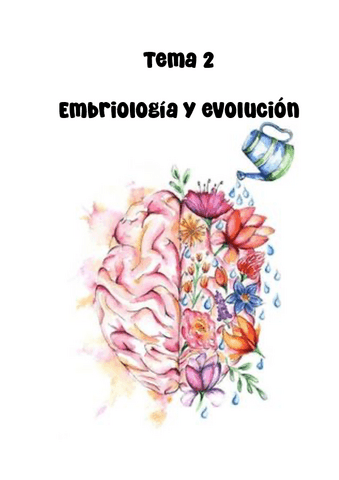 Fundamentos biológicos de la conducta. Tema 2.pdf