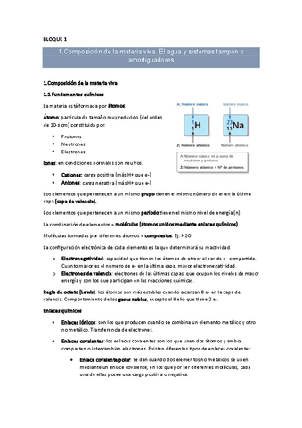 BLOQUE-1.pdf