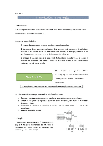 BLOQUE-2.pdf