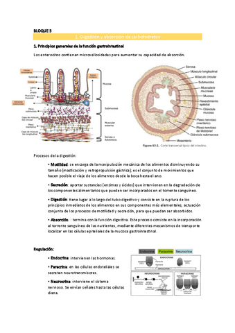BLOQUE-3.pdf