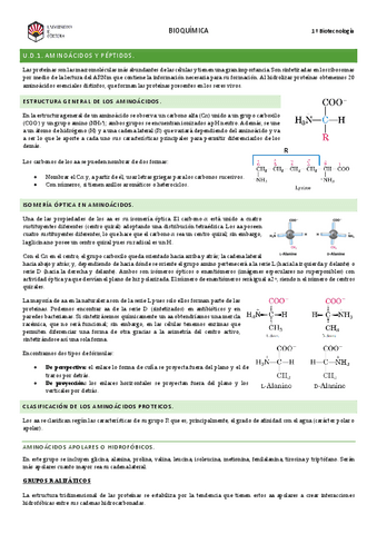 Temario-completo.pdf