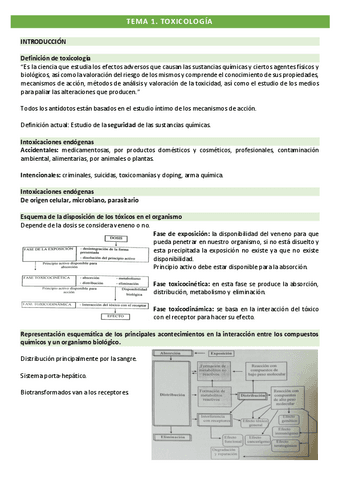 T1.-TX.pdf