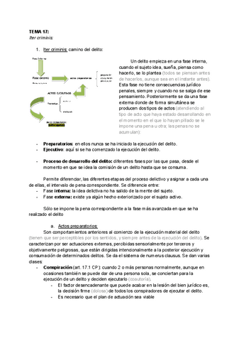 TEMA-17-DPENAL.pdf