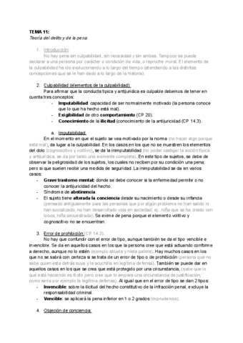 TEMA-11-14-DPENAL.pdf