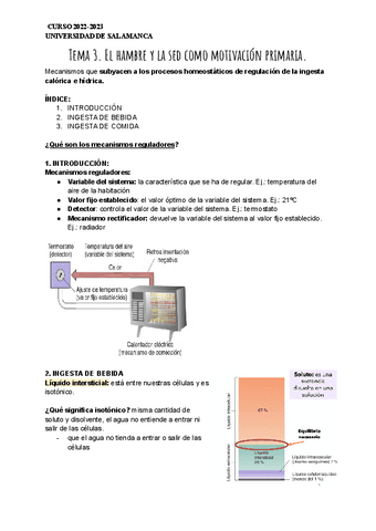 Tema-3.pdf