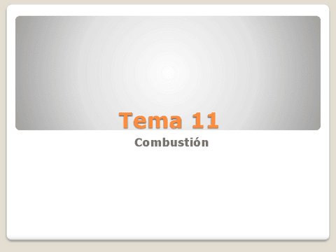 Tema-11Combustion.pdf
