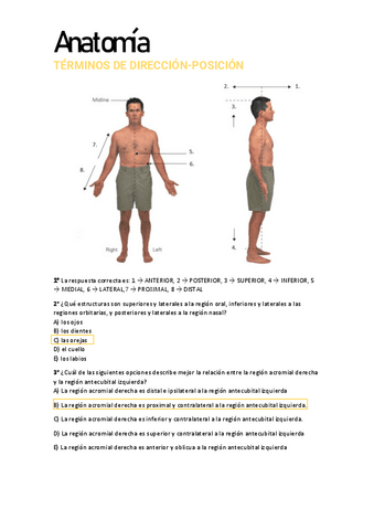 TERMINOS-DE-DIRECCION-POSICION.pdf