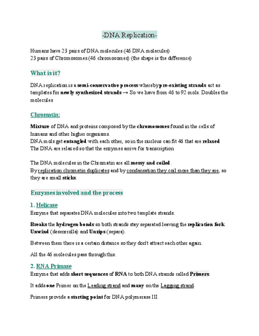 DNA Replication-BIOLOGY IB 2014 EDITION.pdf