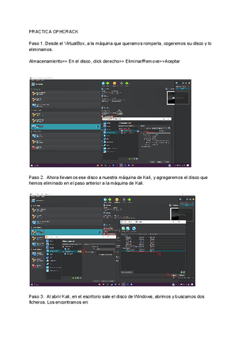 PRACTICA-OPHCRACK.pdf