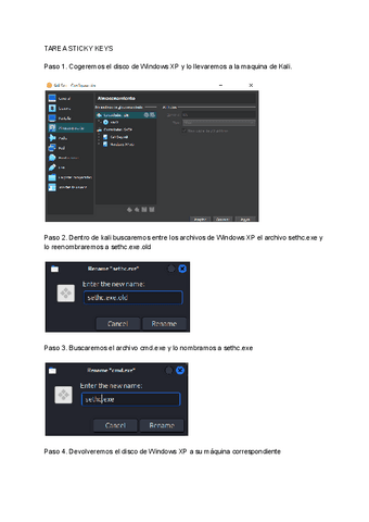 TAREA-STICKY-KEYS.pdf