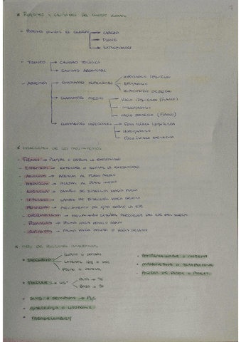 PDF-Scanner-06-02-24-9.03.07.pdf