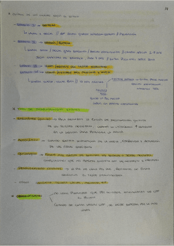 PDF-Scanner-06-02-24-9.05.44.pdf