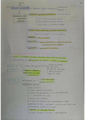 PDF-Scanner-06-02-24-9.06.45.pdf
