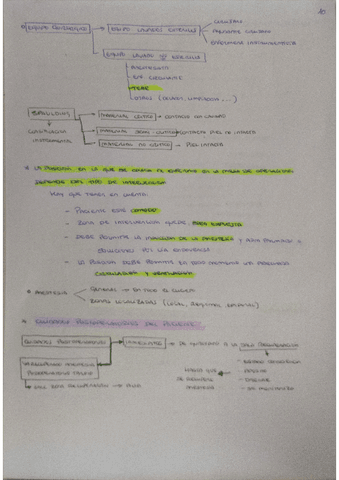 PDF-Scanner-06-02-24-9.23.41.pdf